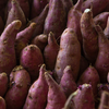 Экстракт фиолетового сладкого картофеля