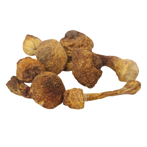 Полисахариды Agaricus Blazei Murill