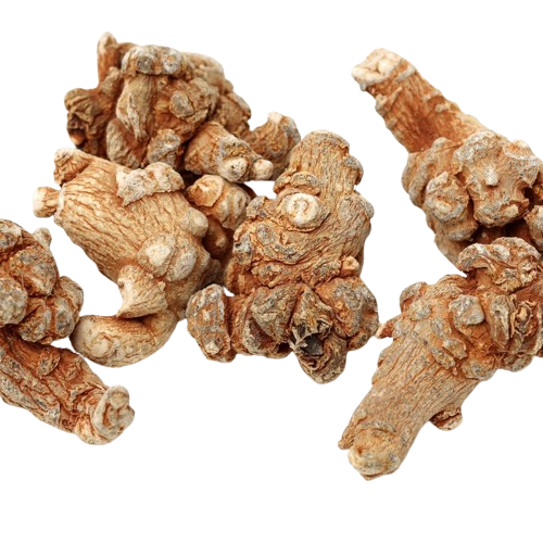 Экстракт корня Panax Notoginseng Notoginseng Всего сапонинов
