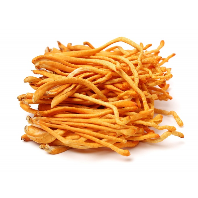 Cordycepss Militaris Powder Extract